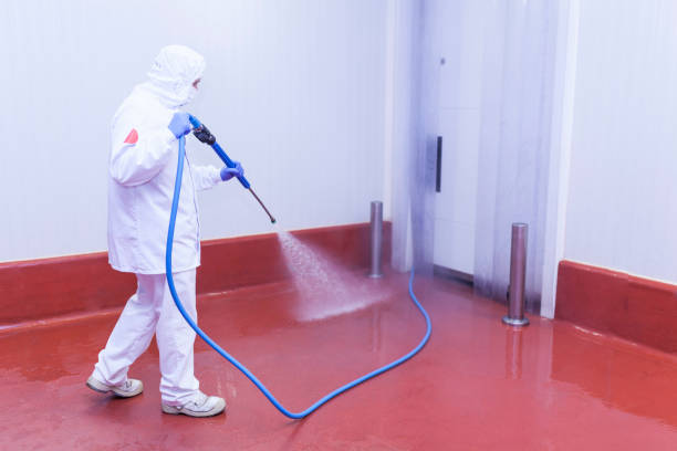 Paint Preparation in South Brooksville, FL