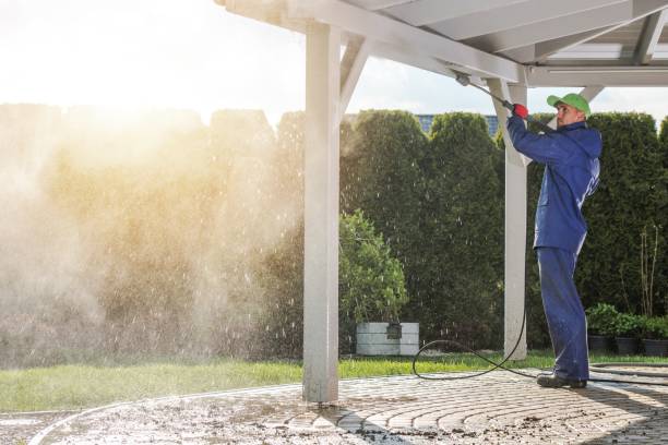 Best Dumpster Area Cleaning  in South Brooksville, FL