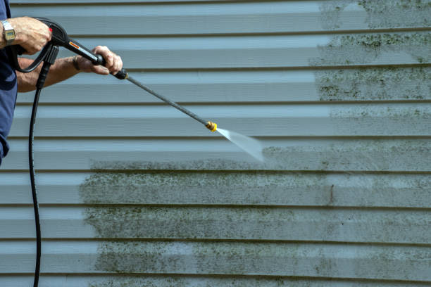 Best Driveway Pressure Washing  in South Brooksville, FL