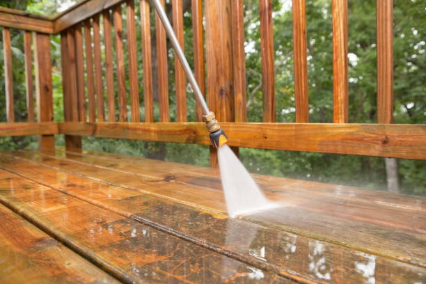 Best Roof Washing  in South Brooksville, FL